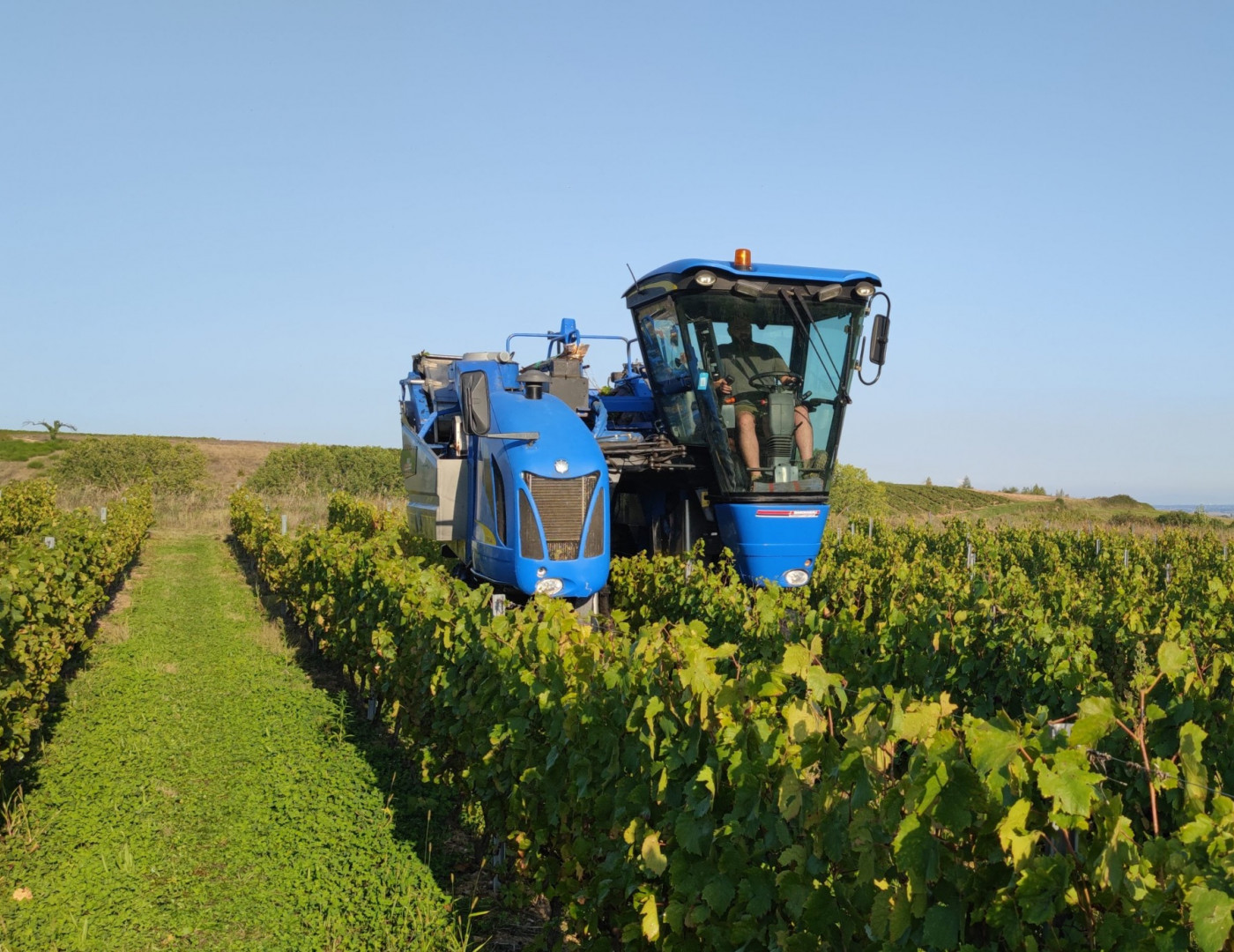 Machine vendanges