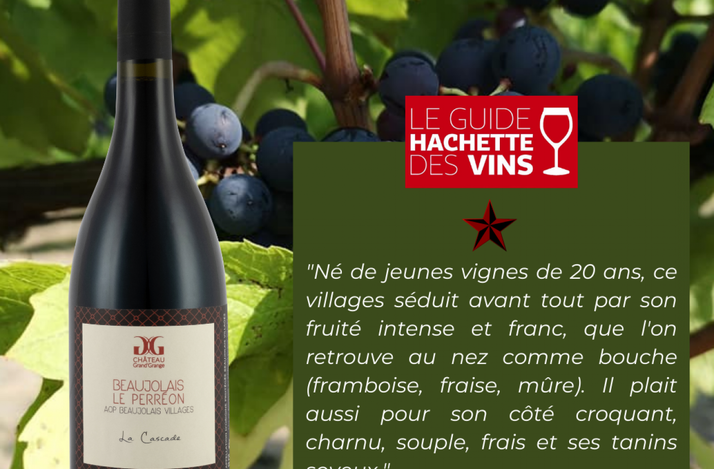 Beaujolais Villages red cuvée La Cascade 2018