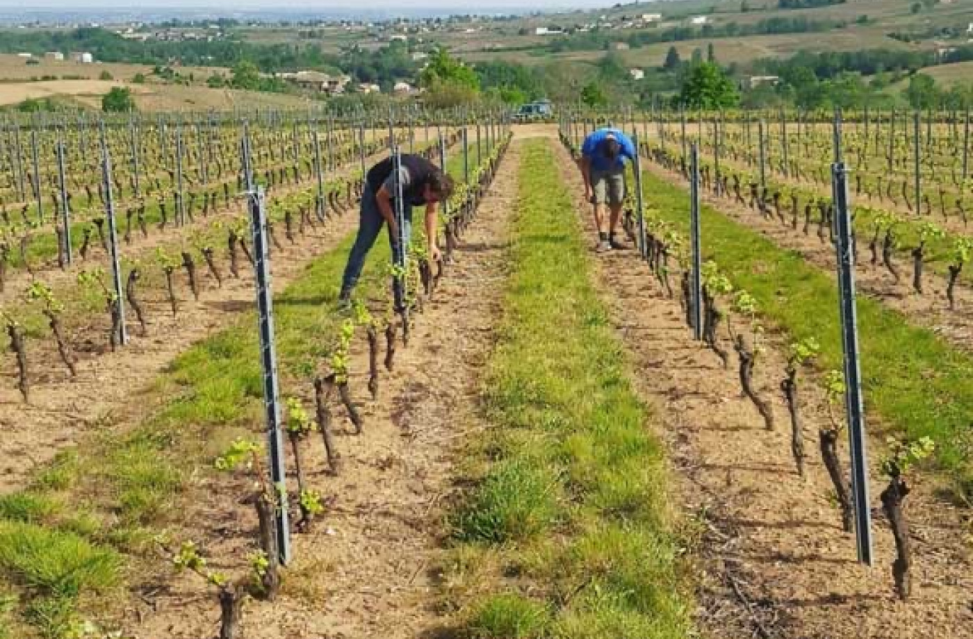 Travail en équipe