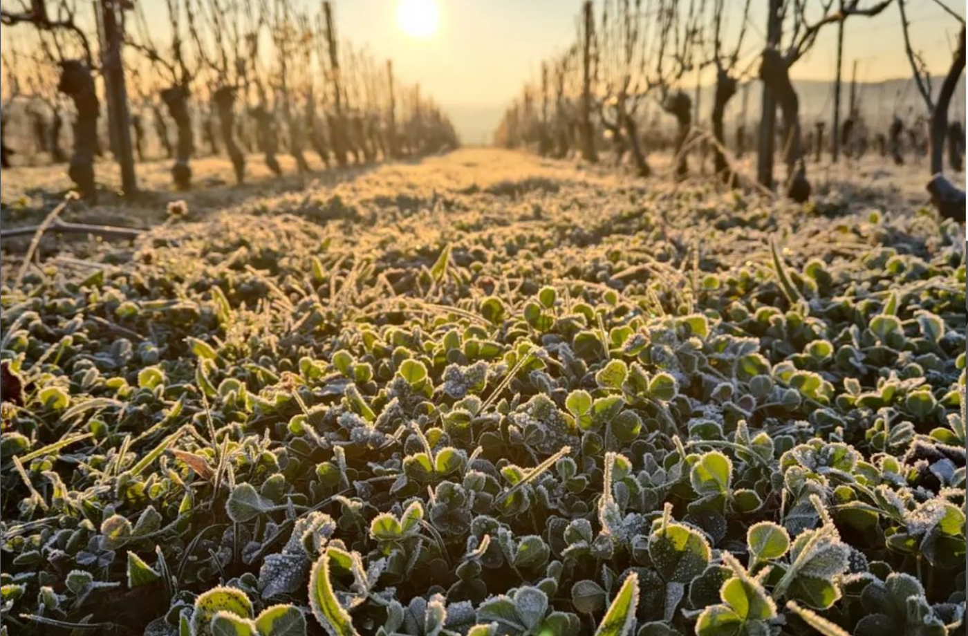 Le paysage hivernal