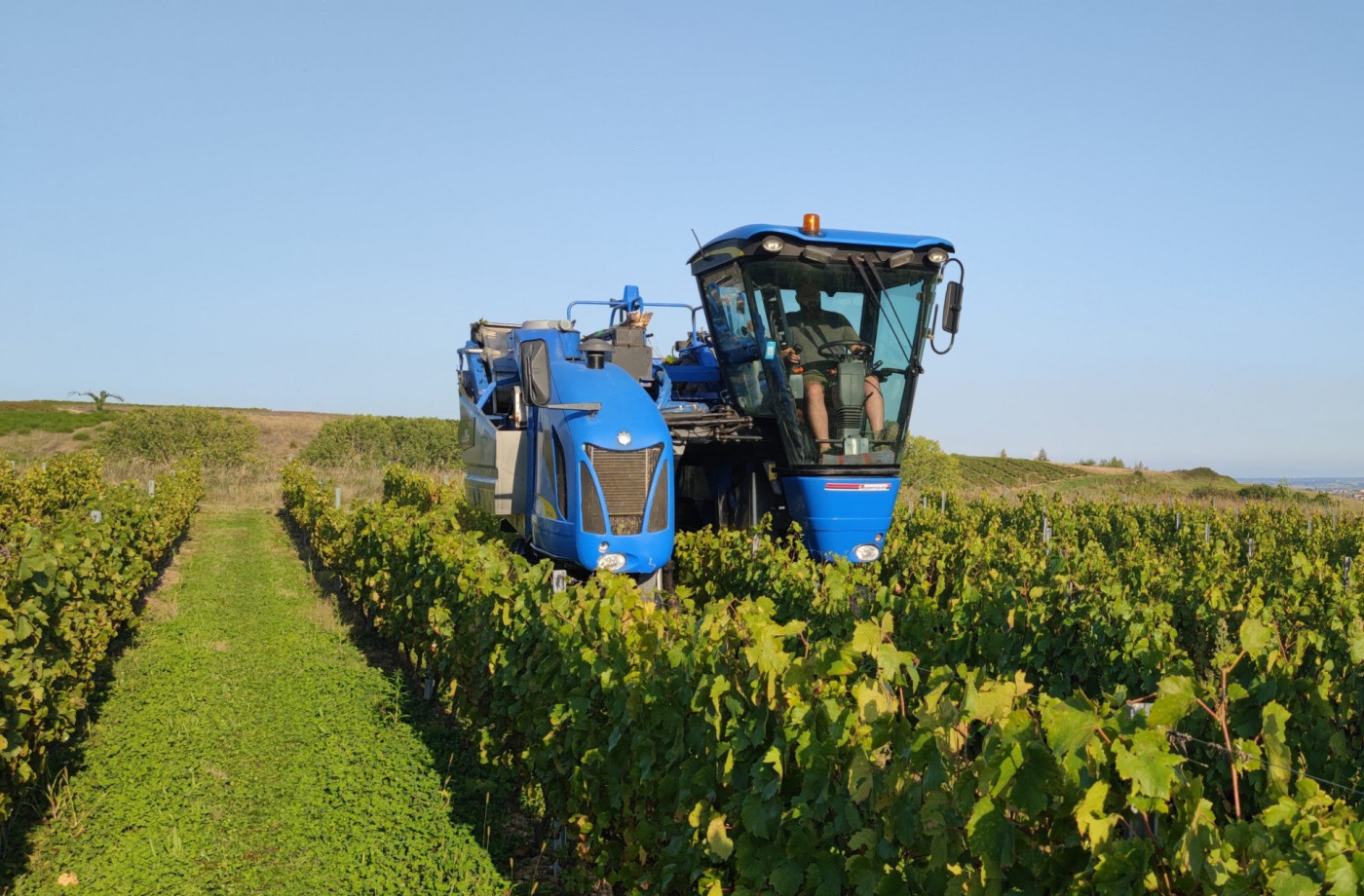 Machine vendanges